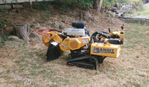 The Hill Treekeepers stump grinder just before it ground a stump in Montgomery, NY.