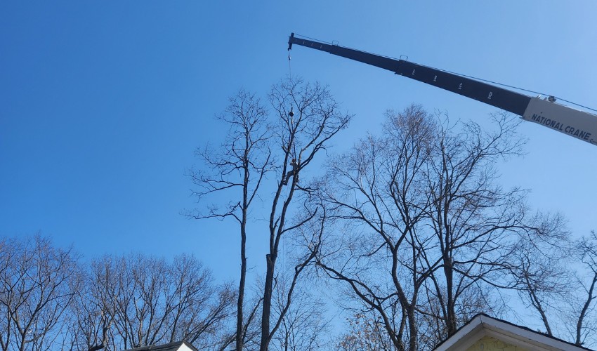 The Hill Treekeepers crane lifting a piece of a tree over a house in Cornwall-On-Hudson, NY.